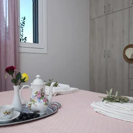 アパート Aeraki Lefkáda